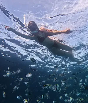 다양한 액티비티가 가능