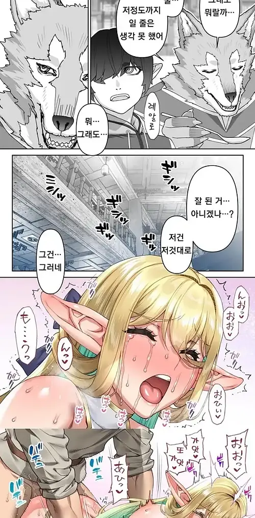 노쳐너 182살 허접엘프 전선 - 2