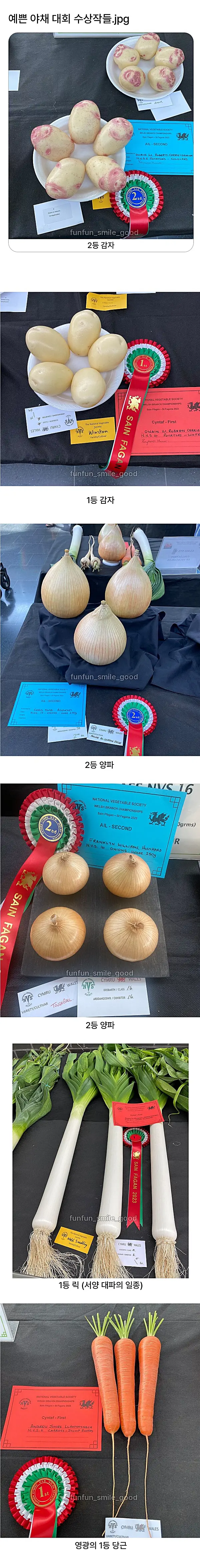예쁜 야채 대회 수상작들