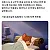 직장인만이 가능한 일탈
