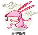 토도사 1월 25일 띠별운세 (쥐,소,호랑이,토끼,용,뱀)